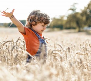 Enfant heureux dans un champ de blé après une séance d'art-thérapie